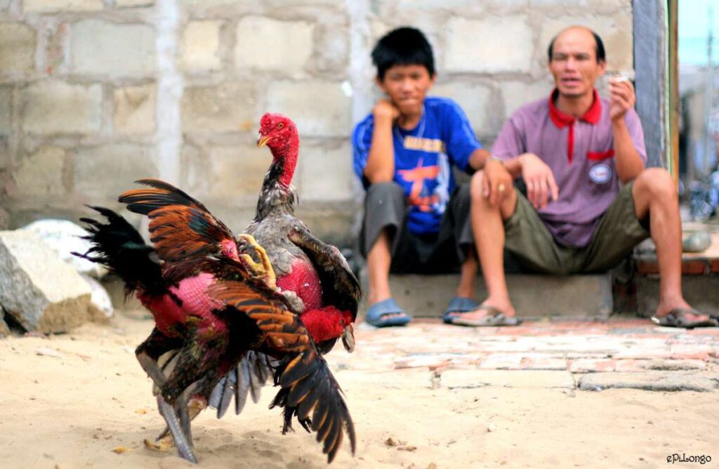 Các chương trình khuyến mãi và ưu đãi trên nền tảng Okvip - Okvip