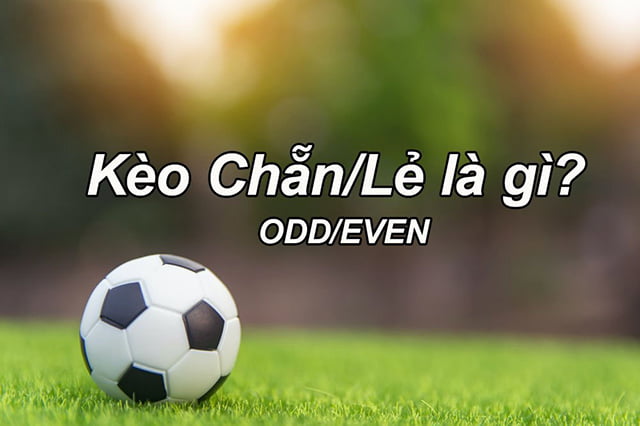 Nền tảng đạt chuẩn Vinbet này cung cấp hơn 1500 trò chơi - Vinbet