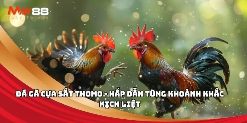 Hướng dẫn đăng ký – Cách truy cập Sodo - Sodo