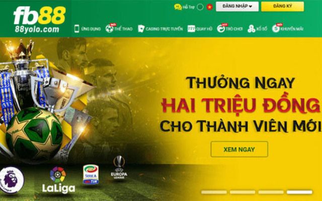 V7bet có những lĩnh vực chuyên môn nào? - V7bet