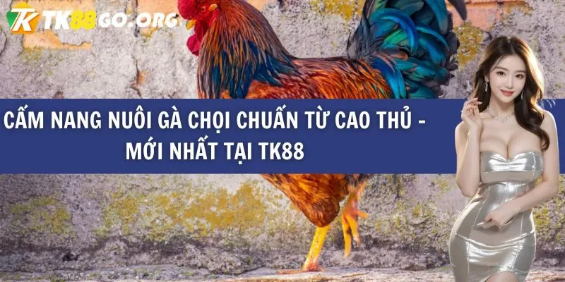 Cách hiệu quả nhất để khắc phục các liên kết Fa88 bị chặn vào năm 2026 - Fa88