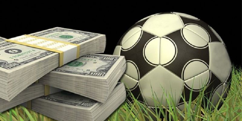 Uy tín và độ tin cậy ở cấp độ 23Vip - 23Vip