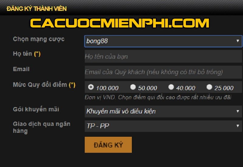 Tại sao bạn muốn trải nghiệm tất cả những điều này tại 100Bet? - 100Bet