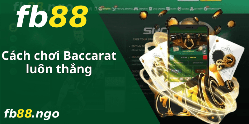 Chúng tôi tự hào ra mắt nền tảng trò chơi bài trực tuyến đạt chuẩn Tobet - Tobet