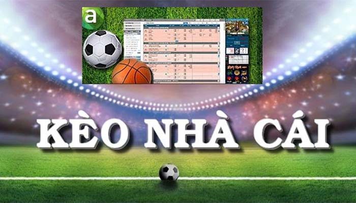 Cuộc thi Đại sảnh Danh vọng Bet888 - Bet888