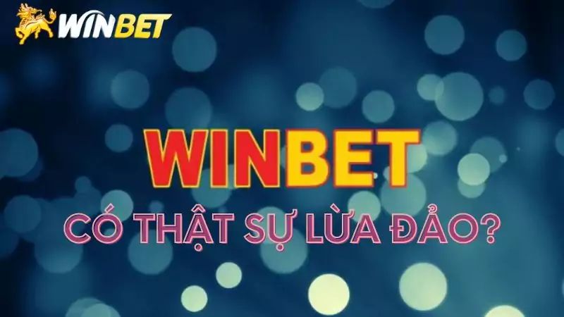 Sản phẩm cá cược của công ty game Tobet - Tobet
