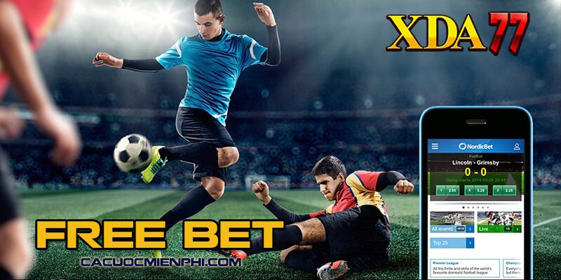 Lý do tại sao các thành viên lựa chọn đặt cược với các công ty cá cược được xếp hạng Ta88 - Ta88