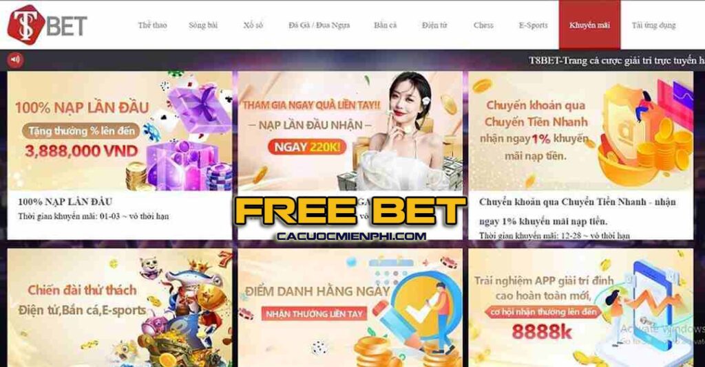Liệt kê các sản phẩm do K9win cung cấp - K9win