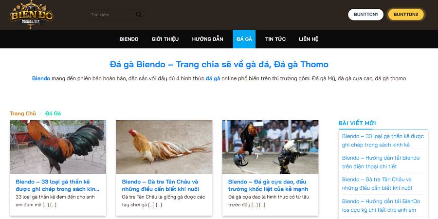 Phòng chơi game đạt chuẩn Zet88 cung cấp những trò chơi nào? - Zet88