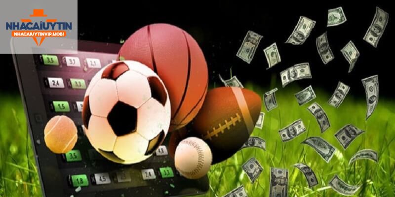 Chơi poker hạng Betvnd thật là thú vị! - Betvnd