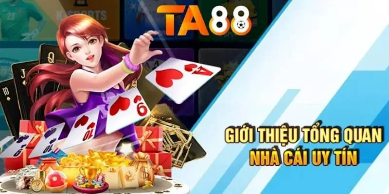 365Vn là một nhánh của lĩnh vực dịch vụ mạng - 365Vn