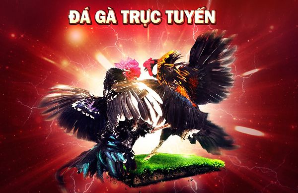 Giao diện được thiết kế đẹp mắt từ một trang web cổng game cấp Vnbet - Vnbet