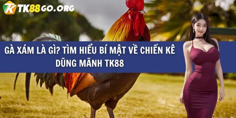 Sòng cá cược nổi tiếng nhất của Lixi88 Gaming - Lixi88